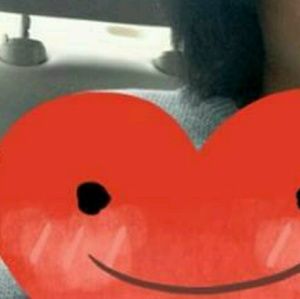 Meet your Posher, Raven